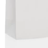 Printed Paper Bottle Bags JOY