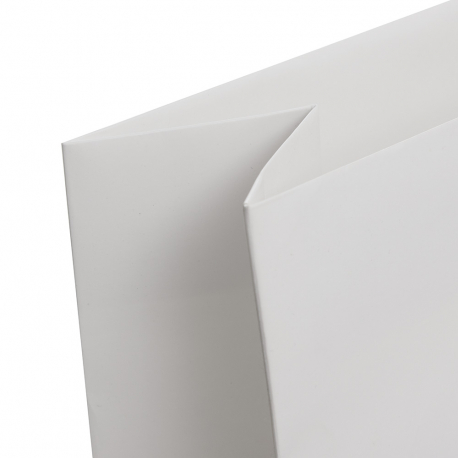 Luxury Printed Carrier Bags Luxury Printed Carrier Bags