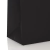 Luxury Black Matte Rope Handle Carrier Bags