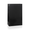 Black Gloss Rope Handle Paper Carrier Bags