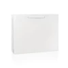 Luxury White Gloss Rope Handle Paper Carrier Bags