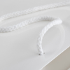 Luxury White Gloss Rope Handle Paper Carrier Bags