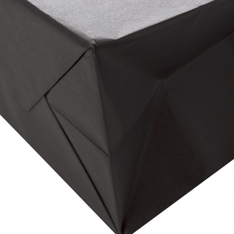 Brown Kraft Twisted Handle Paper Carrier Bags