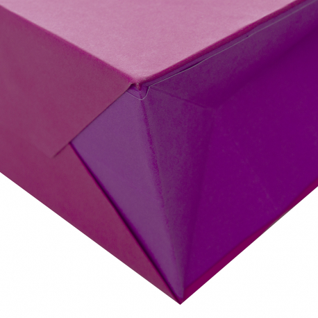 Download Bicolour Paper Bags with Ribbon Cotton Handles - Precious Packaging
