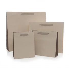 Recycled Beige Paper Bags with Cotton Ribbon Handles