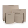 Recycled Beige Paper Bags with Cotton Ribbon Handles