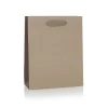 Recycled Beige Paper Bags with Cotton Ribbon Handles