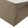 Natural Twisted Handle Kraft Paper Carrier Bags