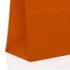 Magento Twisted Handle Paper Carrier Bags