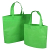 Reusable Bags - Green Non-woven Polypropylene Bags 