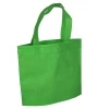 Reusable Bags - Green Non-woven Polypropylene Bags 