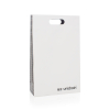 Bespoke Printed Paper Carrier Bag Ref Unidrain