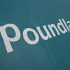 Branded Flexi Loop Carrier Bag Ref Poundland