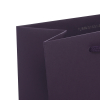 Printed Colorplan Paper Bags