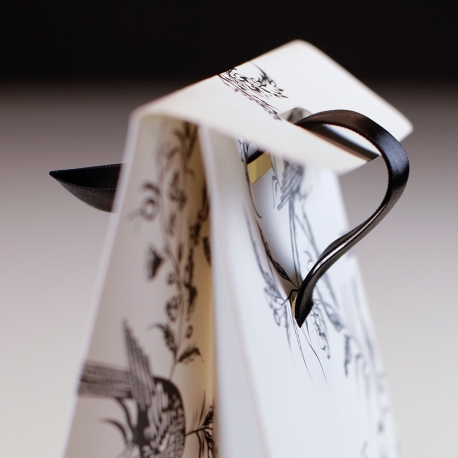 Luxury Printed Satin Closed Carrier Bags With Matt Laminate - Ref. Clothesline Luxury Printed Satin Closed Carrier Bags With Matt Laminate - Ref. Clothesline