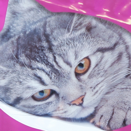 Printed LDPE Patch Handle Bags with Photograph - Ref. Whiskas Printed LDPE Patch Handle Bags with Photograph - Ref. Whiskas