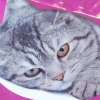 Printed LDPE Patch Handle Bags with Photograph - Ref. Whiskas