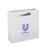 Die Cut Handle Luxury Paper Carrier Bags ref. Unilever