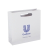 Die Cut Handle Luxury Paper Carrier Bags ref. Unilever