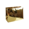 Luxury Gold Laminate Rope Handle Paper Bags ref. Aftershock London