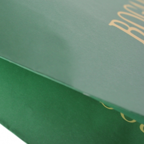 Varnished Green Recycled Rope Handle Paper Bags - Ref. Bogart Varnished Green Recycled Rope Handle Paper Bags - Ref. Bogart