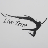 Printed Luxury Printed Two Piece Boxes with Foam Insert Ref LiveTrue