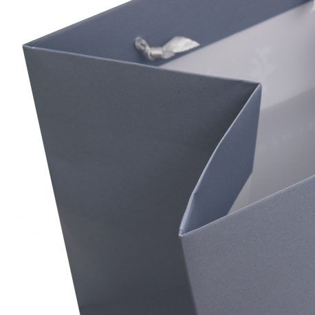 Printed Luxury Ribbon Handle Paper Bags Ref Bluebell and Ivy Printed Luxury Ribbon Handle Paper Bags Ref Bluebell and Ivy