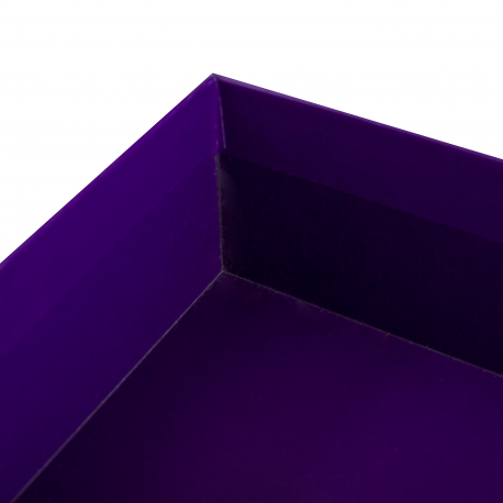 Printed Two-Piece Boxes with Foam Insert - Ref. One School Global Printed Two-Piece Boxes with Foam Insert - Ref. One School Global
