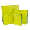 Recycled Green Paper Bags with Cotton Ribbon Handles