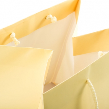 Luxury Cream Matt Paper Flower Bags With Rope Handles