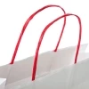 Full Colour Printed Paper Kraft Twisted Handle Carrier Bag Ref. Disney