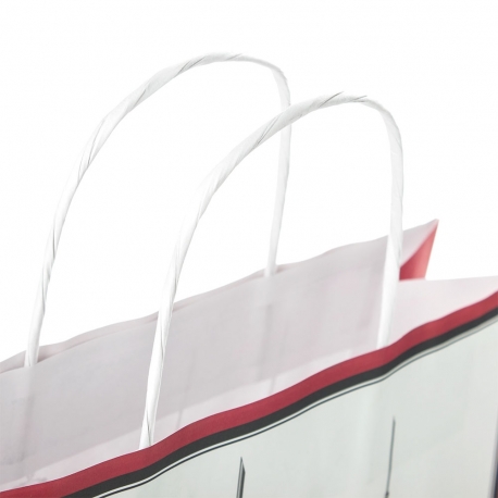Full Colour Printed Kraft Paper Bags with Twisted Handles Full Colour Printed Kraft Paper Bags with Twisted Handles