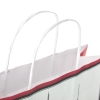 Full Colour Printed Kraft Paper Bags with Twisted Handles