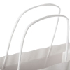 Printed Recycled Twisted Handle Paper Bag Ref. NHS Careers