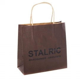 Printed Recycled Kraft Twisted Handle Paper Bag Ref. Stalric