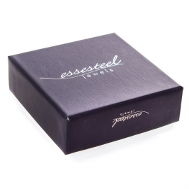 Two Piece Unlaminated Rigid Card Box Ref. Essesteels