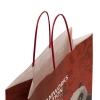 Full Colour Twisted Handle Carrier Bag – Ref. DreamWorks Animation – Kung Fu Panda