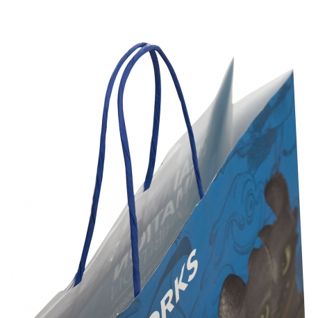 Twisted Handle Full Colour Carrier Bag – Ref. DreamWorks Animation – How To Train Your Dragon Twisted Handle Full Colour Carrier Bag – Ref. DreamWorks Animation – How To Train Your Dragon