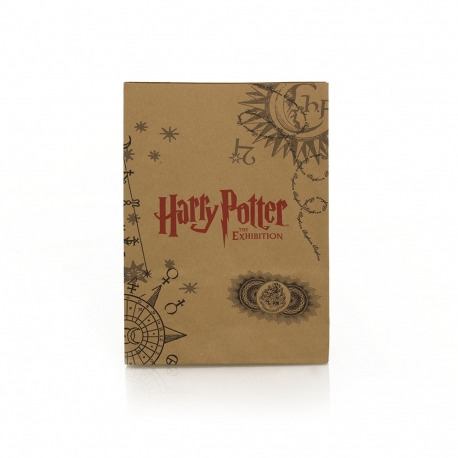 Printed Brown Handleless Paper Bags – Ref. Harry Potter