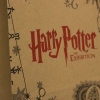 Printed Brown Handleless Paper Bags – Ref. Harry Potter
