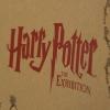 Printed Brown Handleless Paper Bags – Ref. Harry Potter