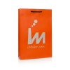Matt Laminated Rope Handle Bag- Ref. iMakr