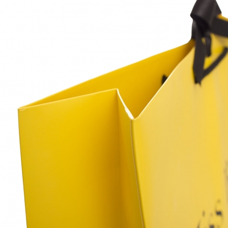 Matt Laminated Paper Carrier Bag – Ref. Miss Bush Matt Laminated Paper Carrier Bag – Ref. Miss Bush