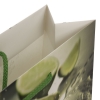 Spot UV Luxury Card Carrier Bag – Ref. BurdaLife