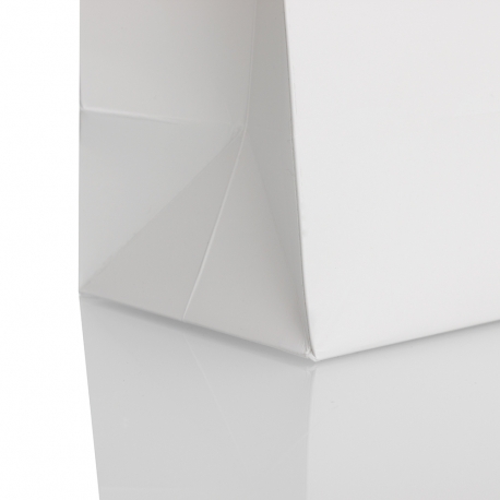 2 Colour Print Paper Carrier Bag– Ref. Size 2 Colour Print Paper Carrier Bag– Ref. Size