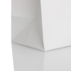 2 Colour Print Paper Carrier Bag– Ref. Size