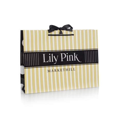 Gloss Laminated Luxury Card Boutique Bag– Ref. Lily Pink