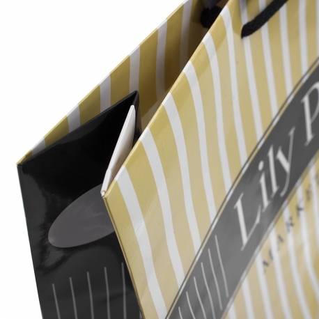 Gloss Laminated Luxury Card Boutique Bag– Ref. Lily Pink Gloss Laminated Luxury Card Boutique Bag– Ref. Lily Pink