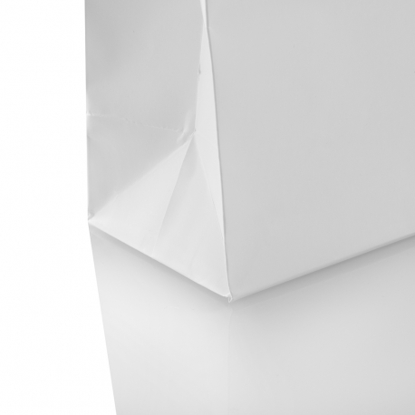 Matt Laminated Art Paper Boutique Bag– Ref. Etania Lareau Matt Laminated Art Paper Boutique Bag– Ref. Etania Lareau