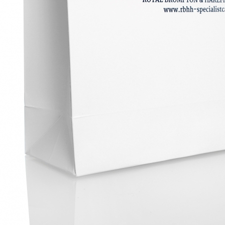 Luxury Paper Carrier Bag Ref. RB&HH Luxury Paper Carrier Bag Ref. RB&HH